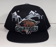 Utah Grizzlies Snapback Cap by CAPX Hockey Hat - Black  / Gray / Green - NWOT picture