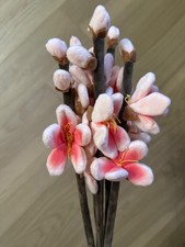Plush Flowers CJ Hendry 2026 NYC Flower Market 5x picture