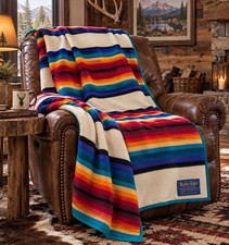 Vtg Pendleton Beaver State Rainbow Stripe Teal Turquoise Wool Blanket 63X75 picture