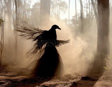 Digital Image Chaos Picture Wallpaper Background Desktop Art Download picture