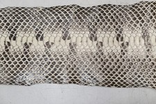 2 (two) Genuine unique  Black & White Tiger Snake Skin Leather Hide  Md picture