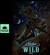 Displate Limited Edition Fallout Nuka-Cola Wild Girl - XXXX/2000 - New In Hand picture