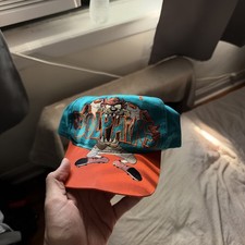 Vintage 1993 Tazmanian Devil Miami Dolphins Snapback Drew Pearson Hat Taz NFL picture