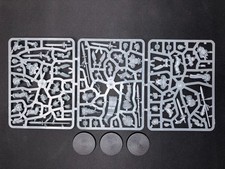Sanguinary Guard - Blood Angels - Warhammer 40K - New On Sprue picture