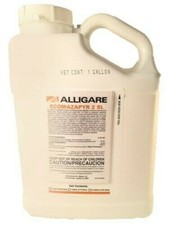 Ecomazapyr 2SL Herbicide - 1 Gallon (Arsenal, Imazapyr 2SL, Polaris) picture