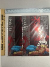 Daredevil: The Man Without Fear #1 Comic Book picture