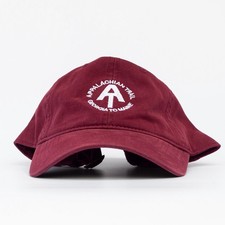 Appalachian Trail Georgia To Maine AT Garment-Washed Dad Hat picture