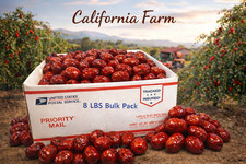 100% ORGANIC Dried Jujube Date California Grown 대추 Hong Zao 紅棗 táo tàu picture
