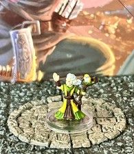 Gnome Emerald Enclave Druid D&D Miniature Dungeons Dragons Adventures in Faerun picture