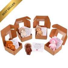 5 Pcs Lovely Handmade Mini Plush Teddy Bears in a Box Tiny Stuffed Animal Gift picture
