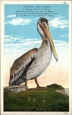 Pelican Florida comic poem vintage postcard unposted 1920s g300 picture