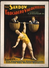 Vintage Circus Show Advertisement  Art Poster picture