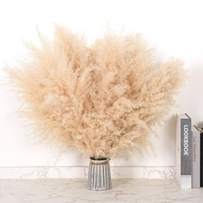 Pasuvsigt 12Pcs 17 Inch Dried Pampas Grass Fluffy Stem Home Wedding Decor picture