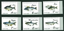 DNIEPR 1999 UKRAINE LOCALS, FISH, MNH picture
