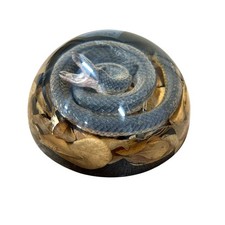 Real Non-Venomous Snake Resin Display 4in Specimen Oddities Natural History Gift picture