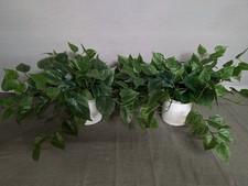 Lot of 2 - Threshold Realistic Faux Pothos Plants in Ceramic Pot  picture