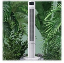 Odec White 43