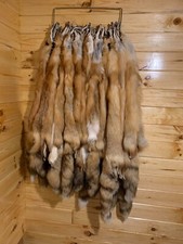 HUGE BEAUTIFUL tanned RED FOX fur pelt size XXL Grade 1 Nicest Red Fox picture