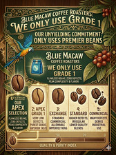 Guatemala Antigua Arabica Coffee Beans Medium Fresh Roast Whole Bean 5LBS picture