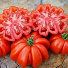 Rosso Sicilian Tomato Seeds | Heirloom / Non-GMO |  | 1298 picture