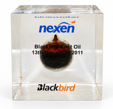 Large Vintage 2011 Nexen Blackbird First Oil Commemorative 6cm Cube Paperweight picture