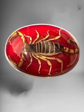 Genuine Scorpion Western Cowboy Style Belt Buckle  Hebilla Vaquera  Con Alacran picture