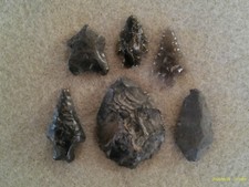 North West Coast Indian Arrowheads, Prehistoric Artifacts *Free Shipping* NW8 picture