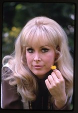 Barbara Eden Striking Photo Shoot Camera Original 35mm Transparency 1969 Rare picture