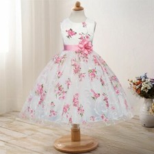 Kids Girls Dresses Princess Birthday Clothes Children Formal Party Dress picture
