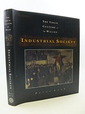 Industrial Society (The Visual Culture of Wales) By Peter Lord picture
