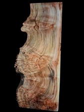 XL MIND BLOWING BIRDSEYE MAPLE Burl wood Blank, LIVE EDGE Curly MAPLE, AMBROSIA  picture