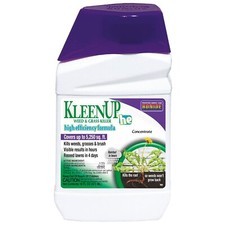 Bonide 753 KleenUp HE 32 oz Concentrated Weed & Grass Killer - Pack of 1 picture