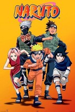 Naruto and Naruto Shippuden Complete Series Anime English DVD picture