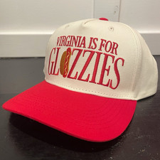 Virginia Is For Glizzies Red/White Snapback Hat Adjustable One Size Men's picture
