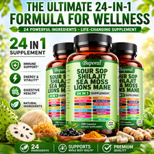 24-in-1 Soursop Shilajit Sea Moss Lion's Mane - Antioxidants, Joint, Dermis picture