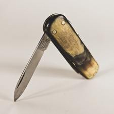 Vintage Victorinox Bijou  Buffalo Horn Victoria Crossbow 58mm 50s-70s *READ* picture