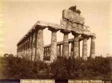 Giovanni Crupi Paestum Temple of Ceres Large Vintage Albumen Photo 1890c L1001 picture