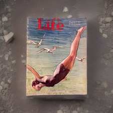 Vintage Summer Swimmer Cover ~ Life Magazine Aug 4 1927 ~ Diving Woman & Seagull picture