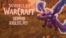 WoW Skipper Axolotl Pet Code | BlizzCon 2026 Darkmoon Faire Loot Exclusive picture