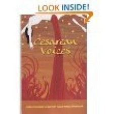Cesarean Voices - Paperback By Krista Cornish Scott - GOOD picture