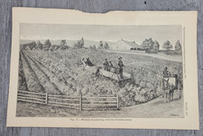 1879 METHOD OF POISONING WITH THE FOUNTAIN PUMP Insecticides Engraving Print picture