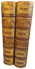 Antique Victorian Book Johnson’s Natural History Vol I & II 1852 Leather Ornate picture