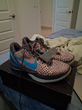 Size 13 - Nike Zoom Kobe 6 Protro 3D Hollywood picture