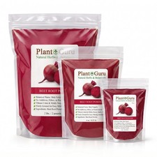 Red Beet Root Powder Beta Vulgaris Non-GMO Nitric Oxide Extract Super Food Juice picture