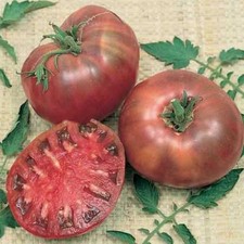 Cherokee Purple Tomato Seeds, Heirloom, NON-GMO, Variety Sizes,  picture