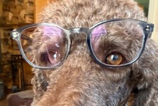Oliver Peoples Fairmont Eyeglasses 49.21.145 picture