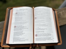 RETIRED SCHUYLER ESV TREVERIS TUSCANY CALFSKIN FULL YAP-PREMIUM LEATHER BIBLE picture