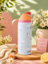 Owala Silly Goose Freesip 32oz Limited Edition Water Bottle With BOX | US STOCK picture