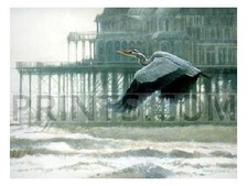 Matthew Hillier Misty Morning Heron - Water Birds picture