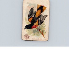 1880s-90s Arm & Hammer Beautiful Birds Baltimore Oriole No 55 picture